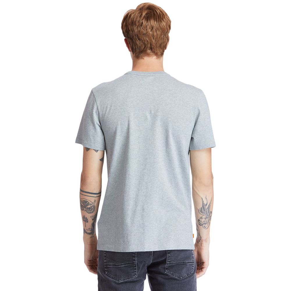 Camisetas Masculino - Timberland Kennebec River Tree-Logo - VUOPS6892 - Cinzentas